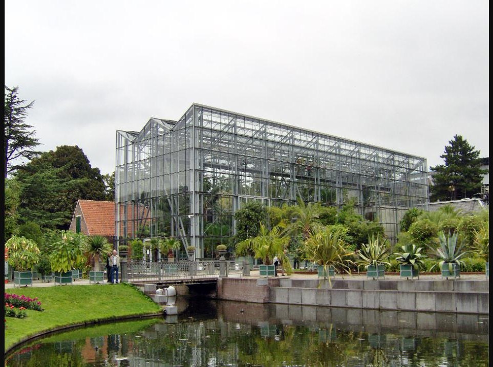 The Wintertuin glasshouse and pond at Hortus Botanicus Leiden